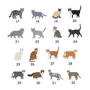 Personalised Cat Breed Fridge Magnet, 3 of 11