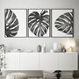 Set Of Three Black And White Monstera Leaves Prints, thumbnail 5 of 8