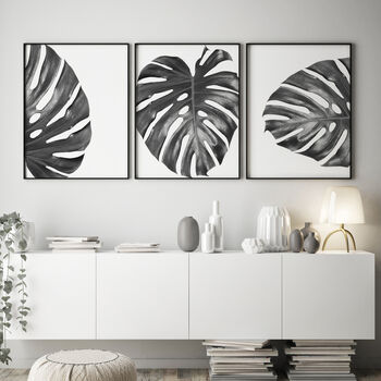 Set Of Three Black And White Monstera Leaves Prints, 5 of 8