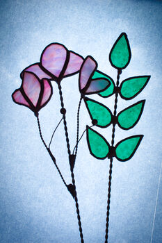 Sweetpea Everlasting Stained Glass Flowers, 6 of 12