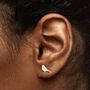 Robins Appear Bird Earrings In Sterling Silver, thumbnail 2 of 5