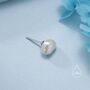 Sterling Silver Genuine Fresh Water Pearls Stud Earrings, thumbnail 7 of 12