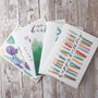 Watercolour Calligraphy Birthday Card Multipack, thumbnail 1 of 6