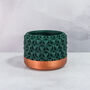 Forest Transform Planter, thumbnail 3 of 4