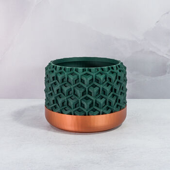 Forest Transform Planter, 3 of 4