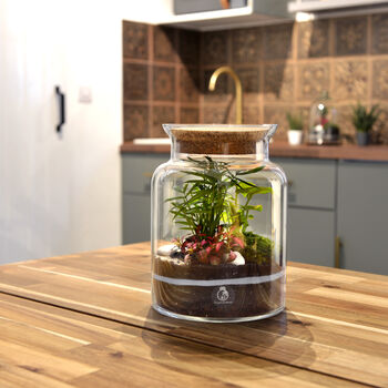 Diy Corked Jar Terrarium Kit | 'Mallorca', 8 of 11