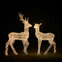 Twinkly Smart LED Acrylic Christmas Stag And Doe, thumbnail 3 of 4