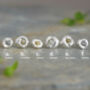 Set Of Six Mix And Match Pebble Stud Earrings With Rough Diamond Cubes, thumbnail 3 of 4