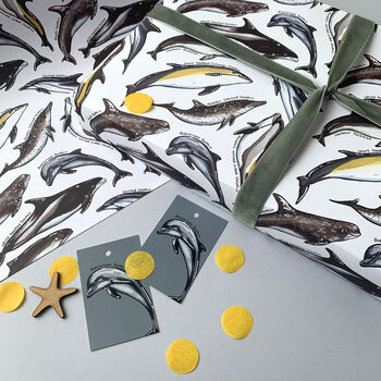 Dolphin Species Wrapping Paper Set, 2 of 10