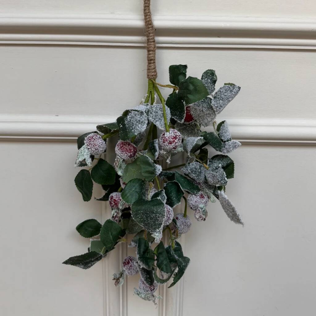 Winter Rosehip Swag, 1 of 1