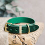 Personalised Leather Dog And Puppy Collars, thumbnail 1 of 10