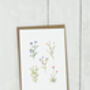 Coastal Flower Notecard Set, thumbnail 3 of 4