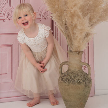 Champagne Soft Lace And Tulle Flower Girl Dress, 2 of 4