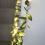 Mistletoe Christmas Wreath, thumbnail 3 of 3
