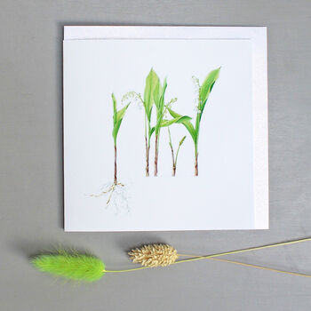 Botanical Stationery And Bookmark Letterbox Gift Set, 12 of 12