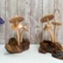Handmade Wooden Mushroom Ornament Natural Decor And Gift, thumbnail 6 of 10