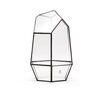 Geometric Glass Container For Terrarium H: 28 Cm, thumbnail 4 of 5