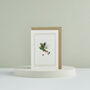 Botanist Archive Holly Christmas Card, thumbnail 3 of 4
