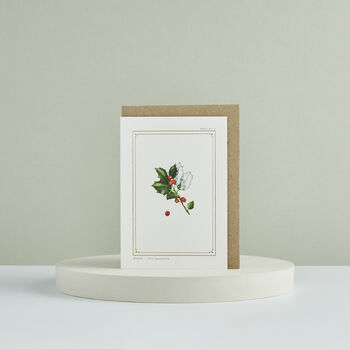 Botanist Archive Holly Christmas Card, 3 of 4