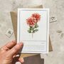 Set Of Six Pink, Orange And Yellow Floral Notecards And Envelopes, thumbnail 7 of 11