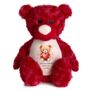 Personalised Love Bear Large Red Teddy Bear, thumbnail 1 of 7