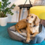 Luxury Soft Quilted Dog Bed, thumbnail 5 of 9