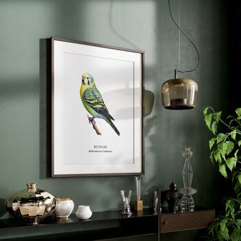 Budgie Wall Print Gift, 2 of 6