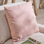 Cotton Scatter Cushion Collection, thumbnail 5 of 5