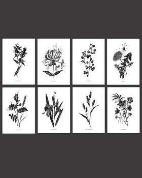 Eight Framed Vintage Flower Art Prints, 2 of 11