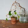 Gold Leaf Fairy Lights For Table Decorations, thumbnail 2 of 6