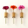 Solid Oak Wall Mounted Stem Vases – Set Of Three, thumbnail 2 of 8