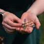 Foraging Workshop And Wild Feast In The South Downs, thumbnail 9 of 12