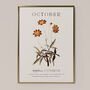 Birth Flower Wall Print 'Cosmos' For October, thumbnail 5 of 9