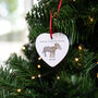 Baby's First Christmas Animal Decoration, thumbnail 1 of 4