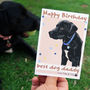 Personalised 'Rosie' Dog Birthday Card, thumbnail 1 of 9