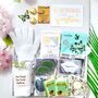 Sending Sunshine | Hug In A Box | Birthday Gift Hamper | You Got This, thumbnail 7 of 12