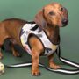 Neoprene Padded Hearts Dog Harness, thumbnail 1 of 6