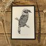 V Is For Visayan Hornbill Bird Illustration Print, thumbnail 3 of 6