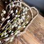 Handmade Catkins || Pussy Willow Birch Wreath, thumbnail 2 of 10