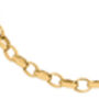 9ct Yellow Gold Oval Belcher Chain Bracelet, thumbnail 6 of 7