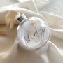 Personalised Shatterproof Pet Memorial Bauble, thumbnail 1 of 5