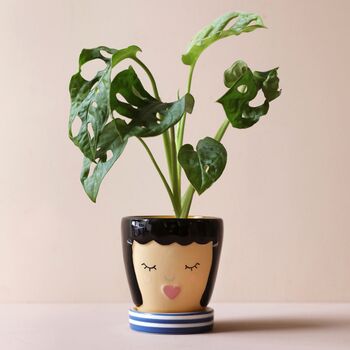 Blue Face Ceramic Planter And Tray, 2 of 6