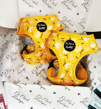 Sunshine Daisy Dog Harness With Optional Set, 2 of 8