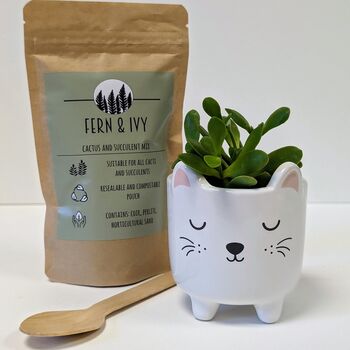 Plant Your Own Succulent Kit With Cat Pot, 3 of 5