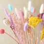 Bright Pastels Dried Flower Bouquet, thumbnail 4 of 8