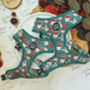 Jolly Bear Christmas Dog Harness, thumbnail 1 of 7