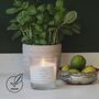 Limelight Aromatherapy Vegan Candle With Essential Oils, thumbnail 1 of 9