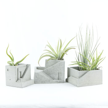 Concrete House Air Plant Holder Collection Set, 4 of 9