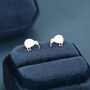 Sterling Silver Kiwi Bird Stud Earrings, thumbnail 1 of 12