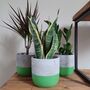 Hand Painted Large Indoor Concrete Plant Pot, thumbnail 4 of 8